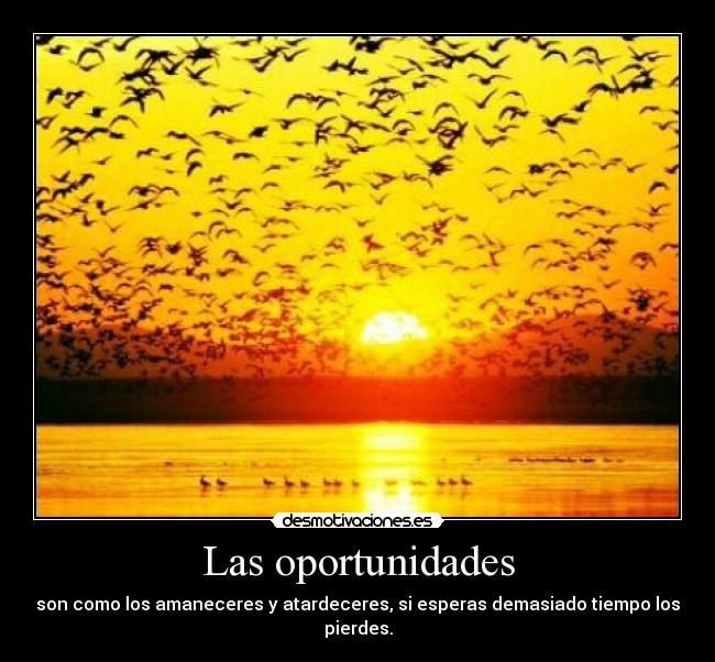 Las oportunidades - son como los amaneceres y atardeceres, si esperas demasiado tiempo los pierdes.