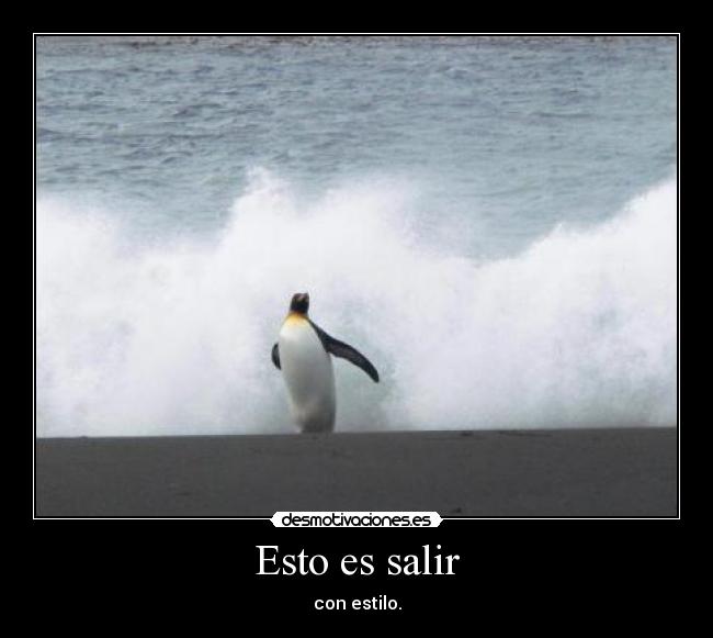 carteles pinguino chulo sale del mar desmotivaciones