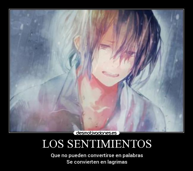 LOS SENTIMIENTOS -