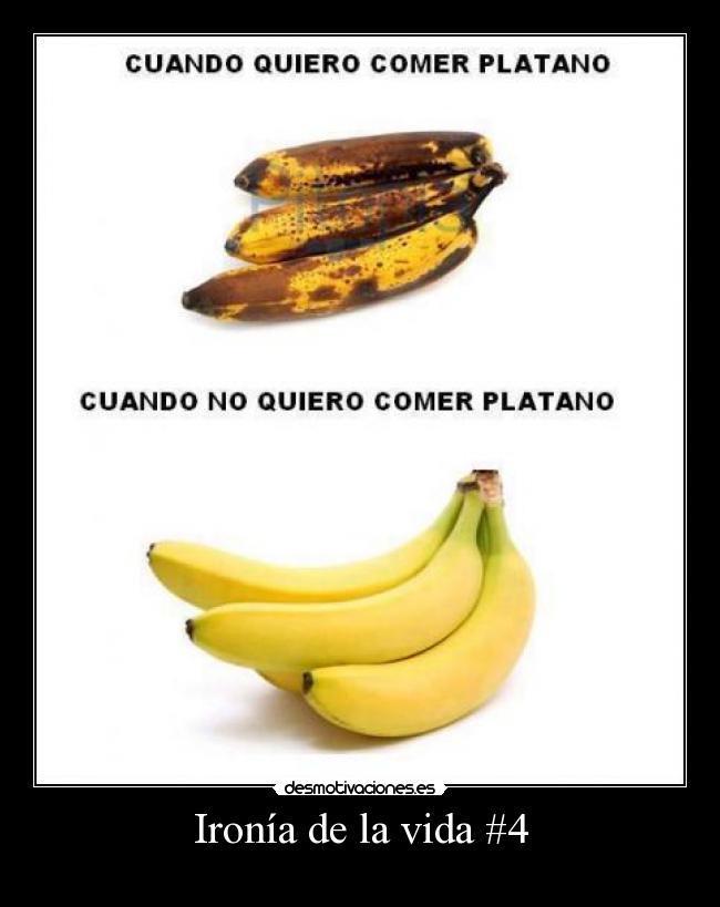 Ironía de la vida #4 - 