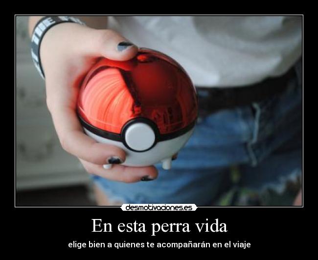 En esta perra vida -