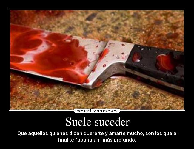 Suele suceder - 