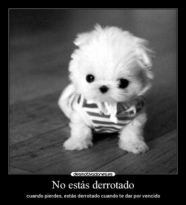 No estás derrotado - cuando pierdes, estás derrotado cuando te dar por vencido