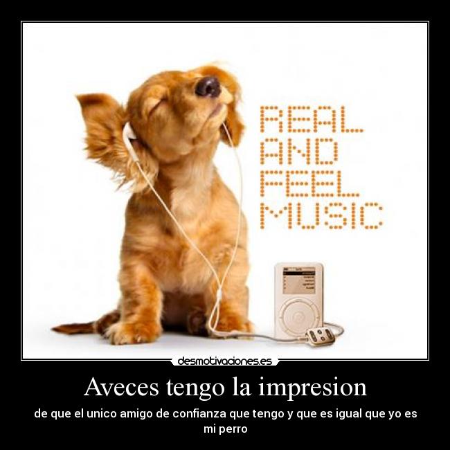 carteles doggy desmotivaciones