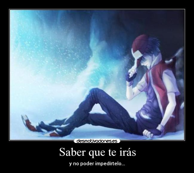 carteles red pokemon principito por que vas que vaya cierta personita desmocartelesred desmotivaciones