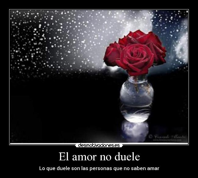 El amor no duele - 