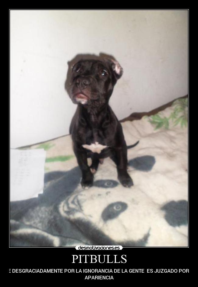 carteles tyson desmotivaciones