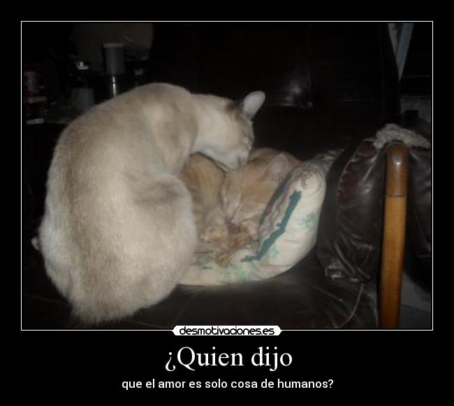 ¿Quien dijo - que el amor es solo cosa de humanos?