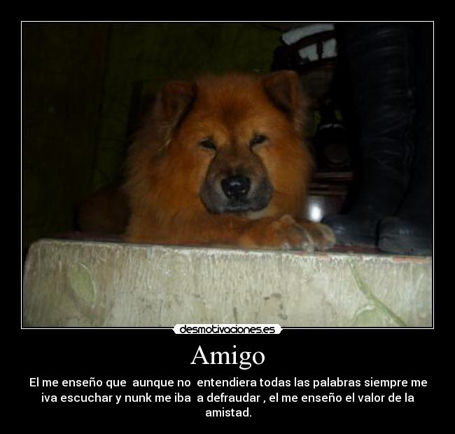 Amigo - El me enseño que  aunque no  entendiera todas las palabras siempre me
iva escuchar y nunk me iba  a defraudar , el me enseño el valor de la
amistad.