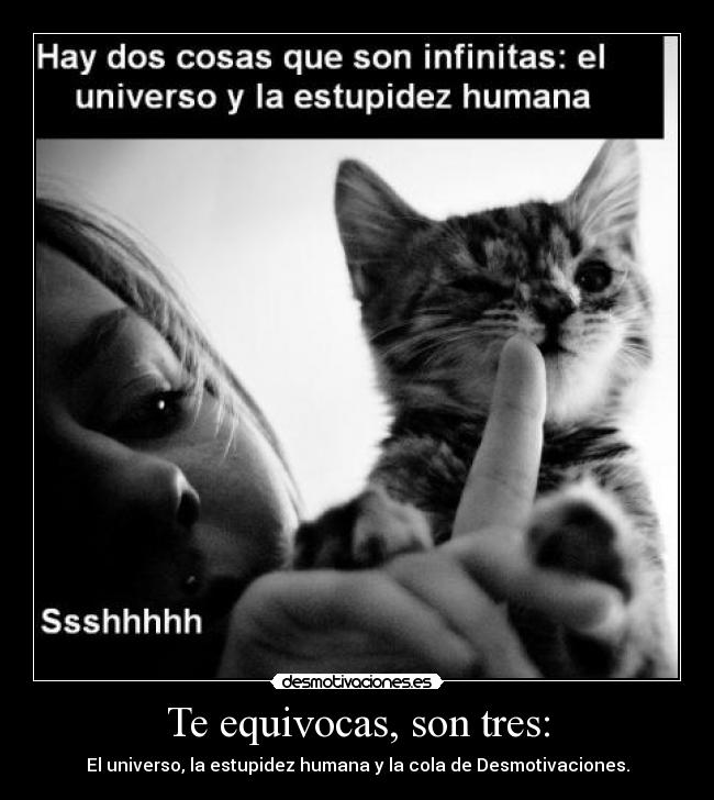 Te equivocas, son tres: - El universo, la estupidez humana y la cola de Desmotivaciones.
