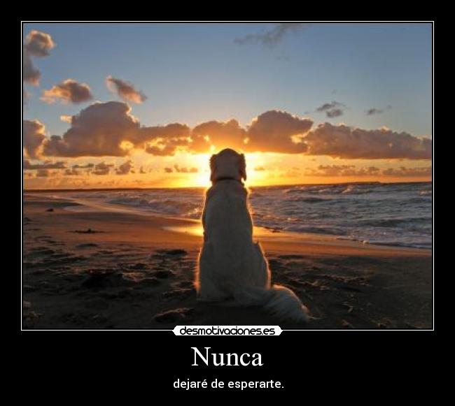 Nunca -