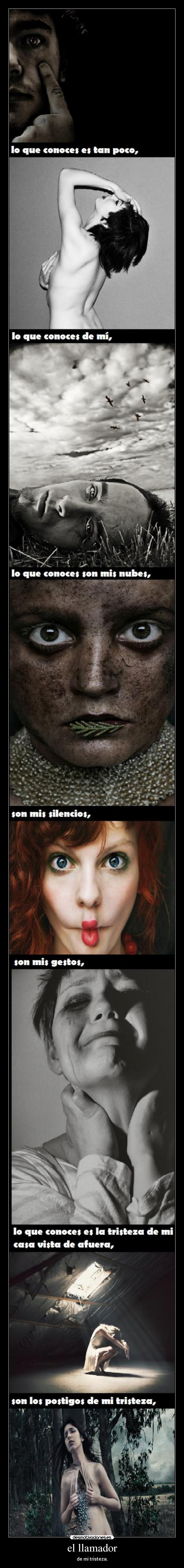 carteles amm mario benedetti varios desmotivaciones