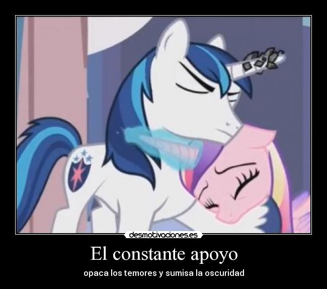 carteles apoyo little pony ponies mlp fim bronies semana tercera temporada shining armor desmotivaciones