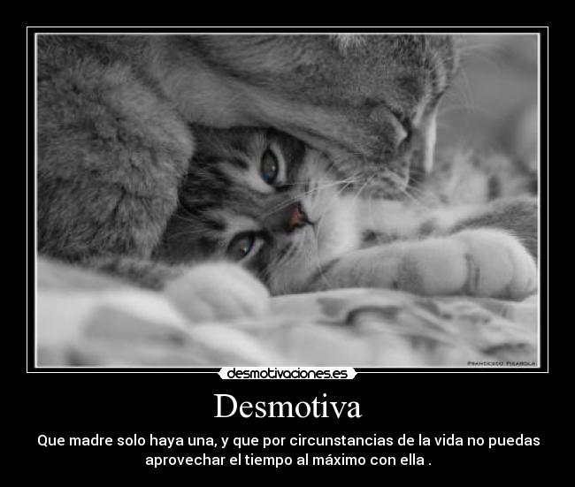 Desmotiva - Que madre solo haya una, y que por circunstancias de la vida no puedas
aprovechar el tiempo al máximo con ella .