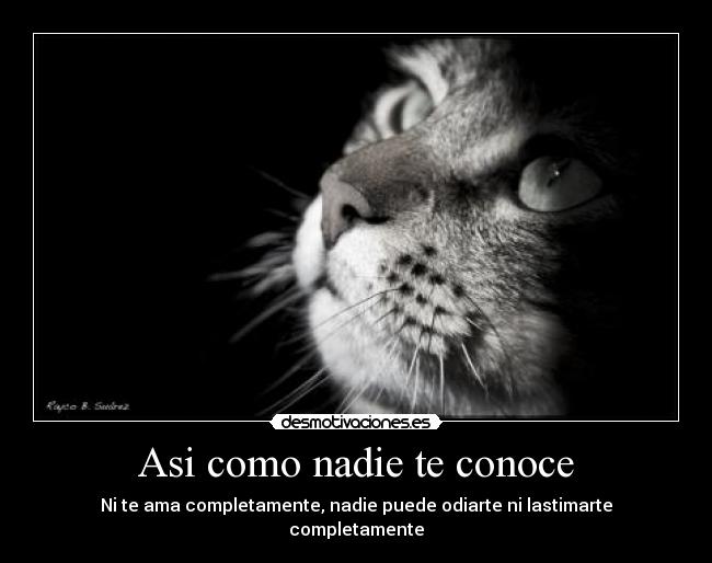 carteles desmo desmotivaciones