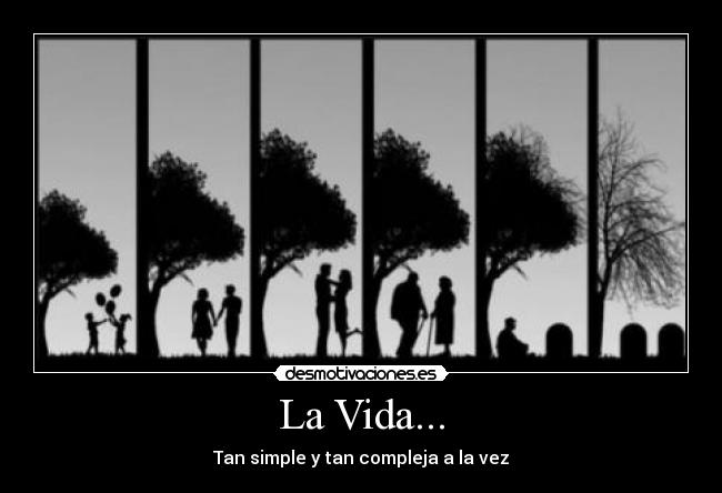 La Vida... - Tan simple y tan compleja a la vez