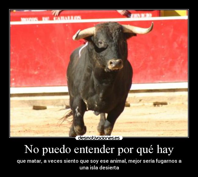 No puedo entender por qué hay -