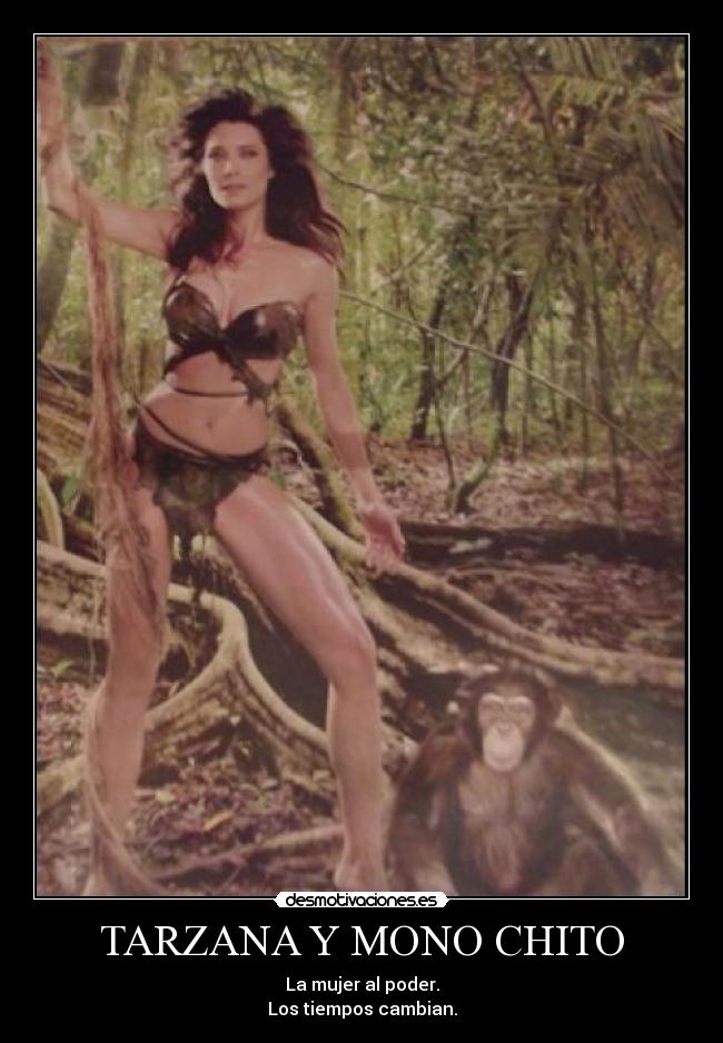 TARZANA Y MONO CHITO -