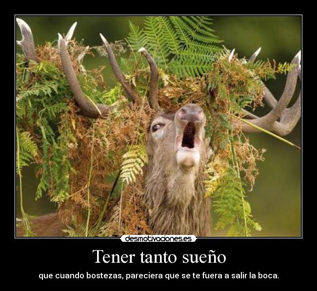 Tener tanto sueño - que cuando bostezas, pareciera que se te fuera a salir la boca.