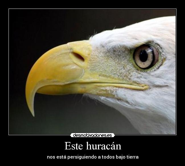 Este huracán - 