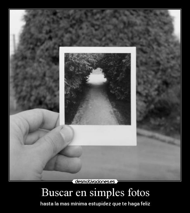 Buscar en simples fotos - hasta la mas mínima estupidez que te haga feliz