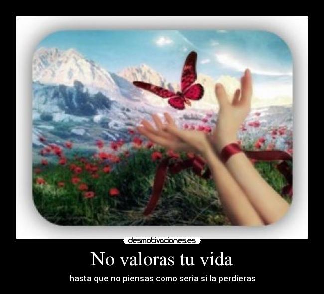 No valoras tu vida - hasta que no piensas como seria si la perdieras