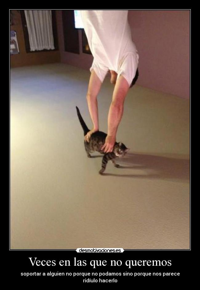 carteles diegoparty desmotivaciones