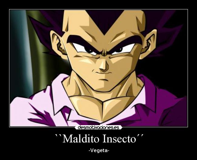 ``Maldito Insecto´´ - -Vegeta-