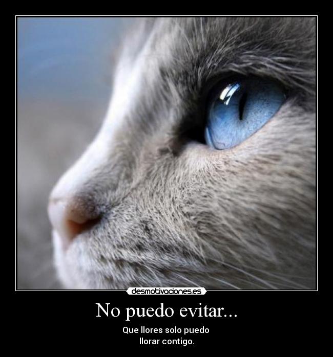 No puedo evitar... -