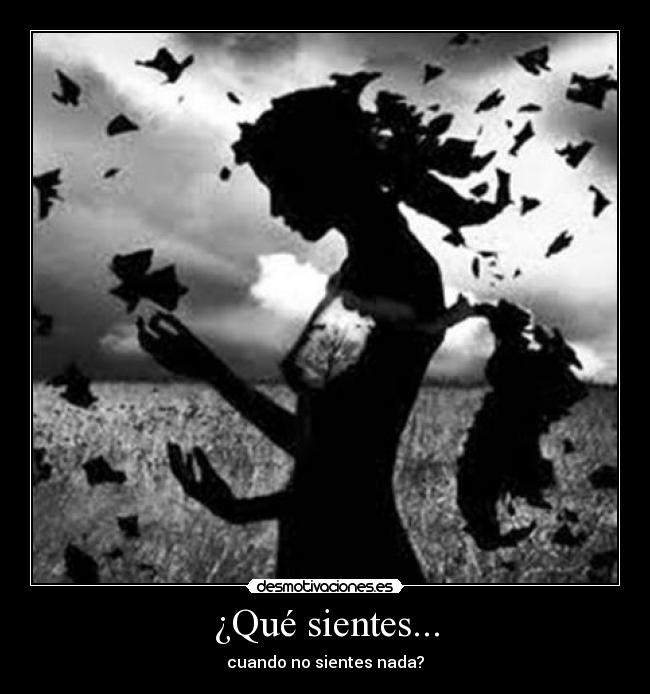 ¿Qué sientes... - cuando no sientes nada?