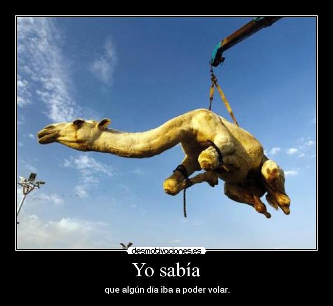 Yo sabía - que algún día iba a poder volar.