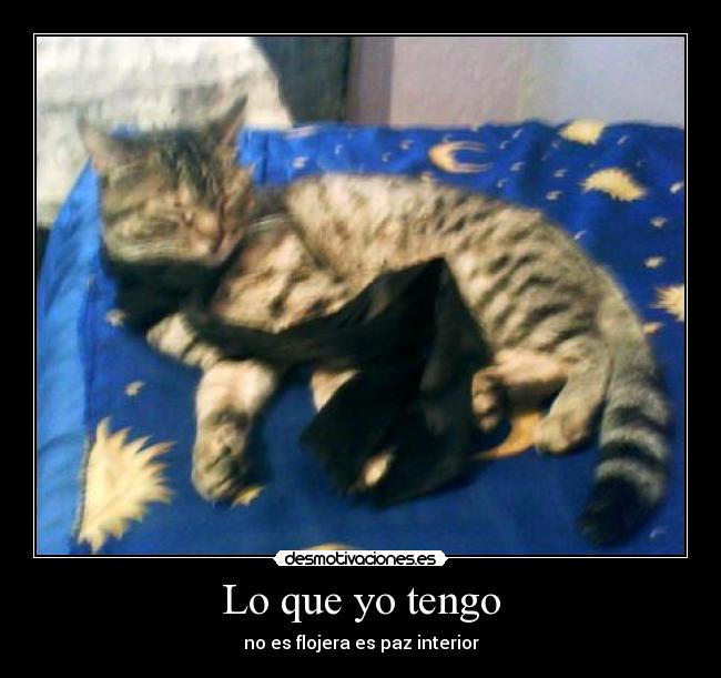 Lo que yo tengo - 