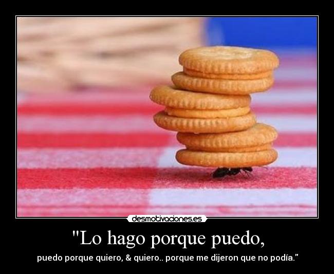 Lo hago porque puedo, - puedo porque quiero, & quiero.. porque me dijeron que no podía.