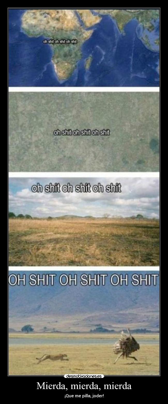 carteles cazar avestruz mierda correr desmotivaciones