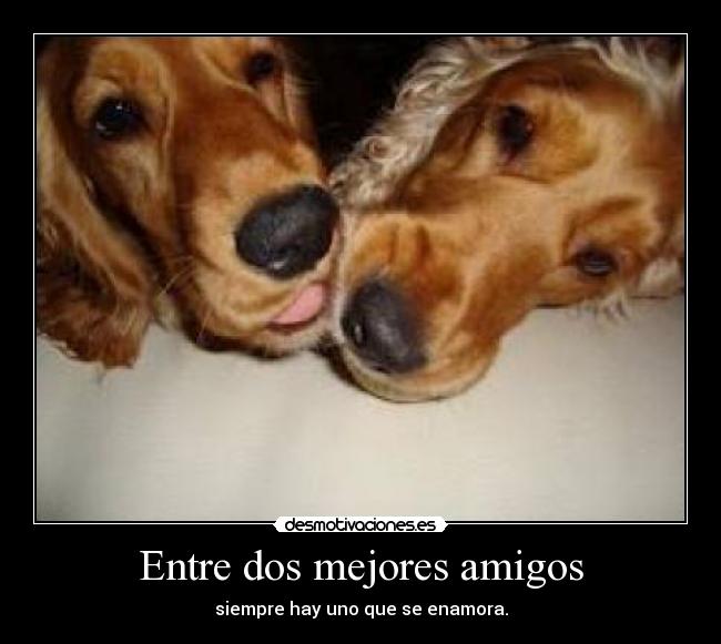 Entre dos mejores amigos -