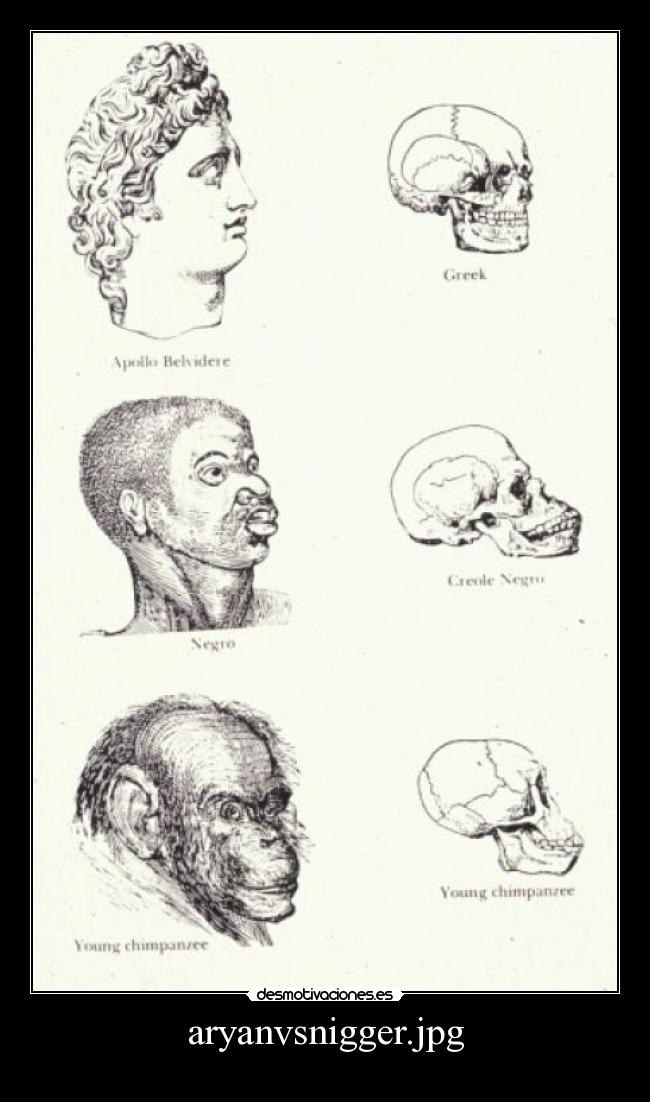 aryanvsnigger.jpg -