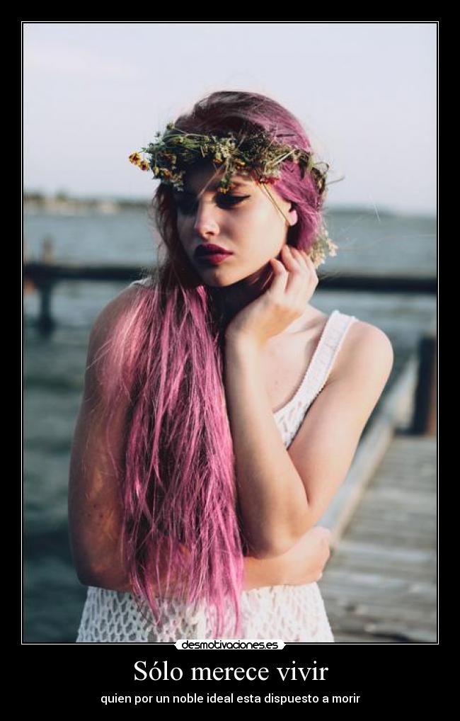 carteles ideal laprincesita desmotivaciones