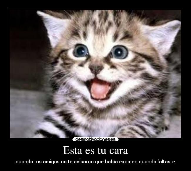 Esta es tu cara - cuando tus amigos no te avisaron que había examen cuando faltaste.