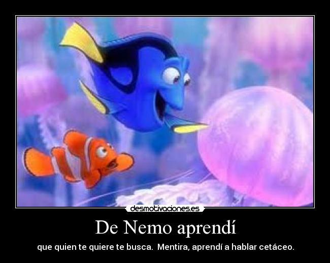 De Nemo aprendí - 