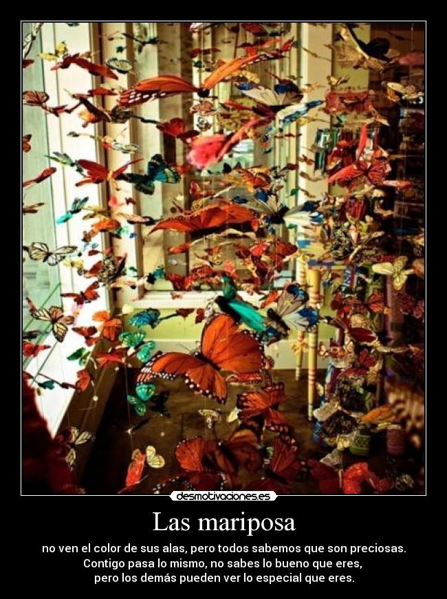 Las mariposa -