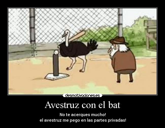 Avestruz con el bat - No te acerques mucho!
el avestruz me pego en las partes privadas!