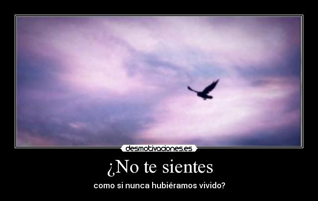 carteles malaquita desmotivaciones