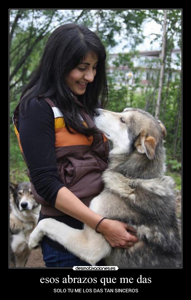 esos abrazos que me das - 