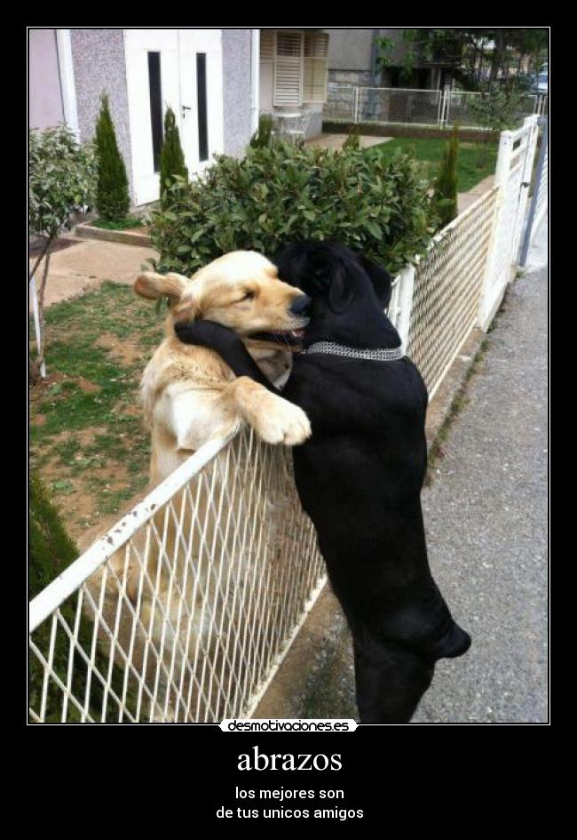 abrazos -