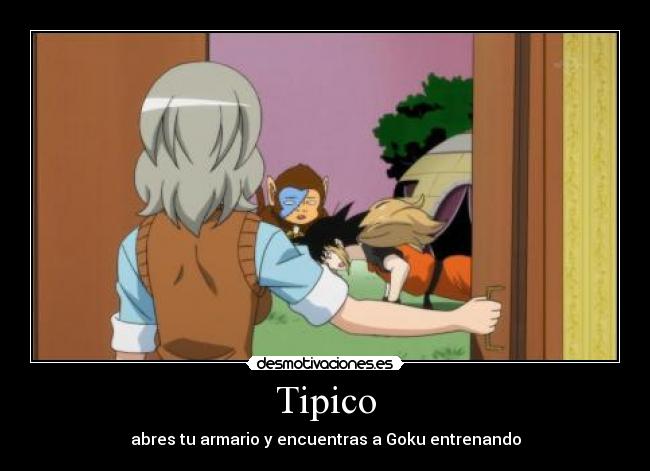 Tipico - 