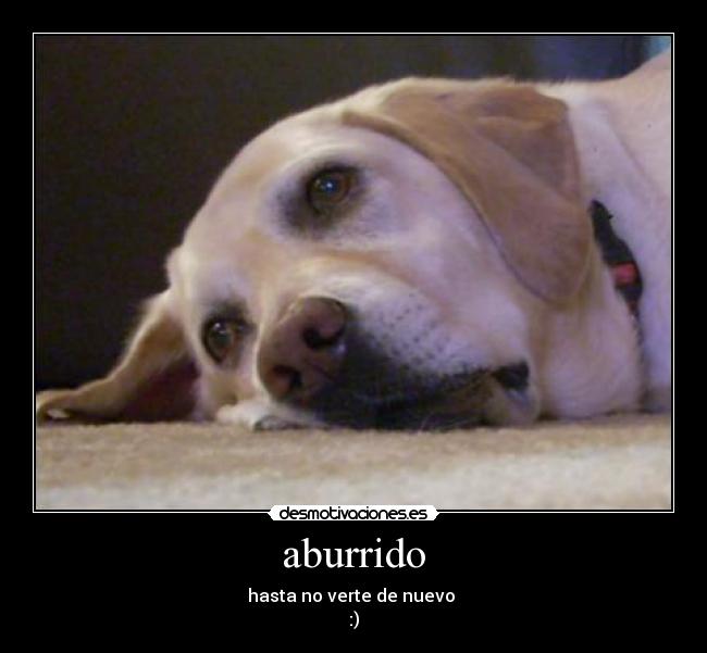 carteles diego cordova vega desmotivaciones