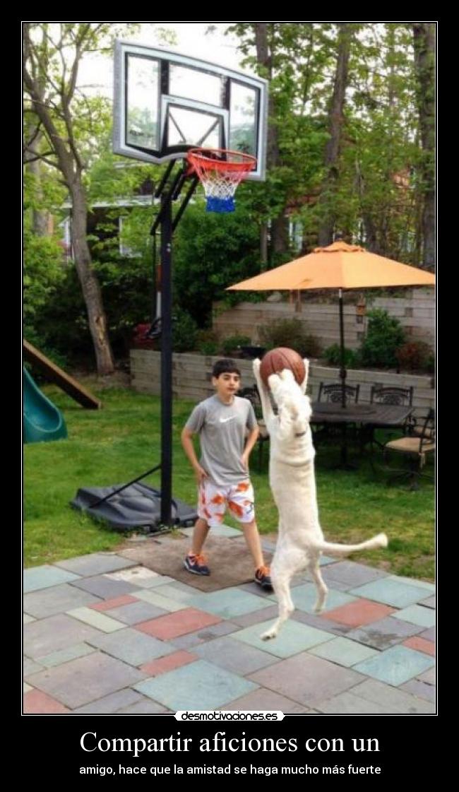 Compartir aficiones con un - amigo, hace que la amistad se haga mucho más fuerte