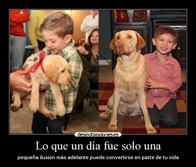 Lo que un día fue solo una - pequeña ilusión más adelante puede convertirse en parte de tu vida