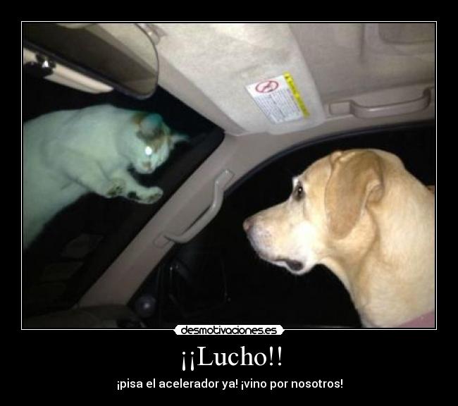 ¡¡Lucho!! - ¡pisa el acelerador ya! ¡vino por nosotros!
