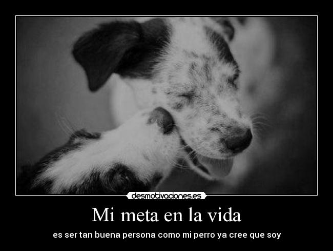 Mi meta en la vida - es ser tan buena persona como mi perro ya cree que soy